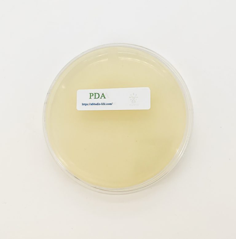 Potato Dextrose Agar | Abbadis Life