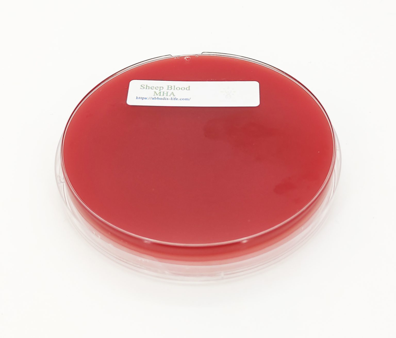 Sheep Blood Mueller Hinton Agar | Abbadis Life