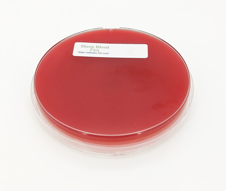 Sheep Blood Tryptic Soy Agar | Abbadis Life