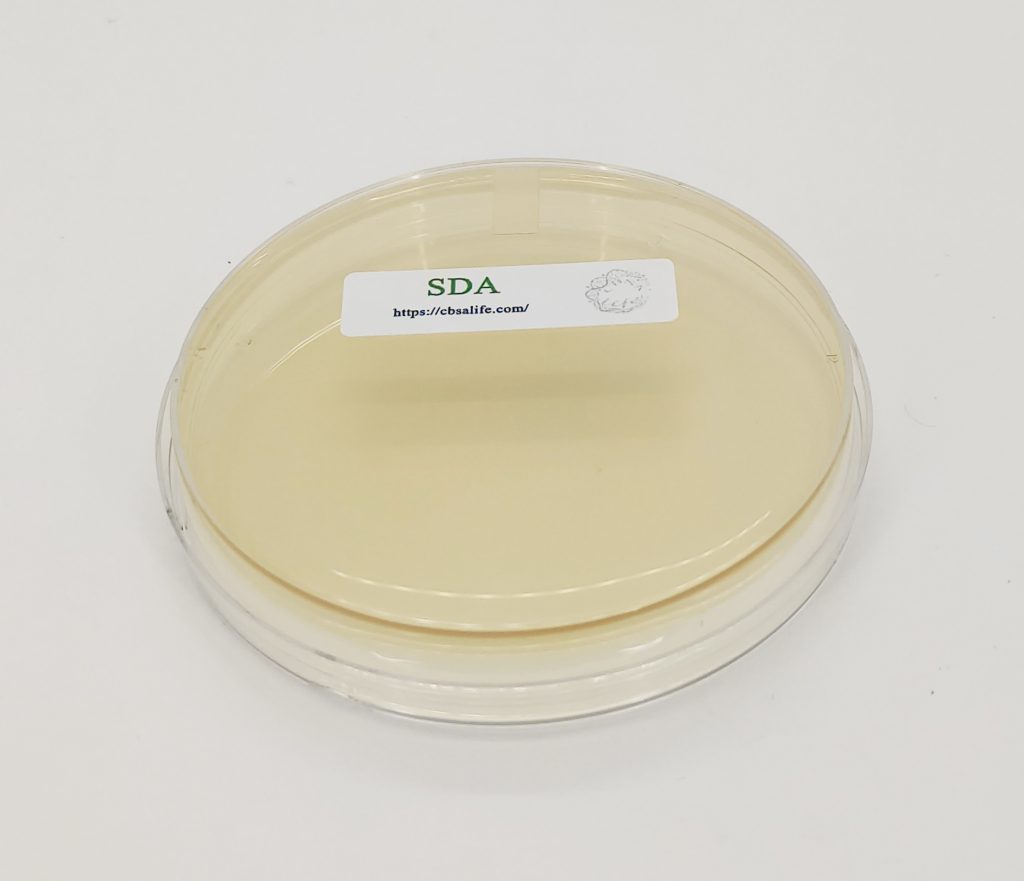 Sabouraud Dextrose Agar | Abbadis Life